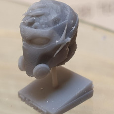 Picture of print of Dasher Head