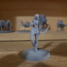 Picture of print of Wood Elf
