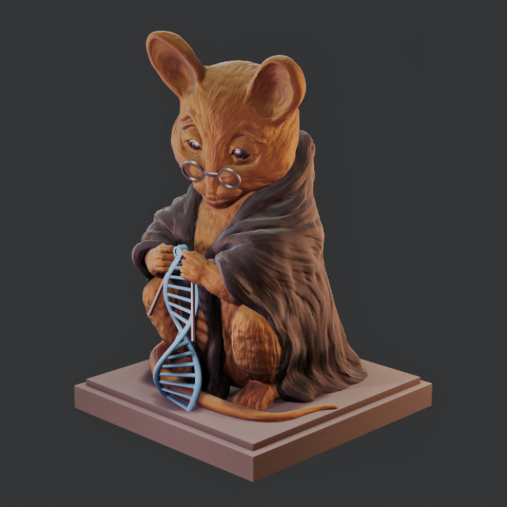 Laboratory Mouse image