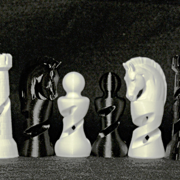 Organic Chess Set image