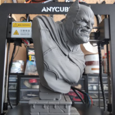 Picture of print of The Dark Knight bust