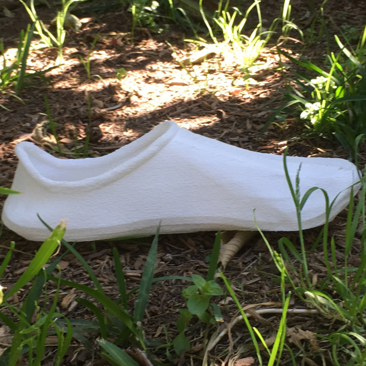 3D Printed shoes image