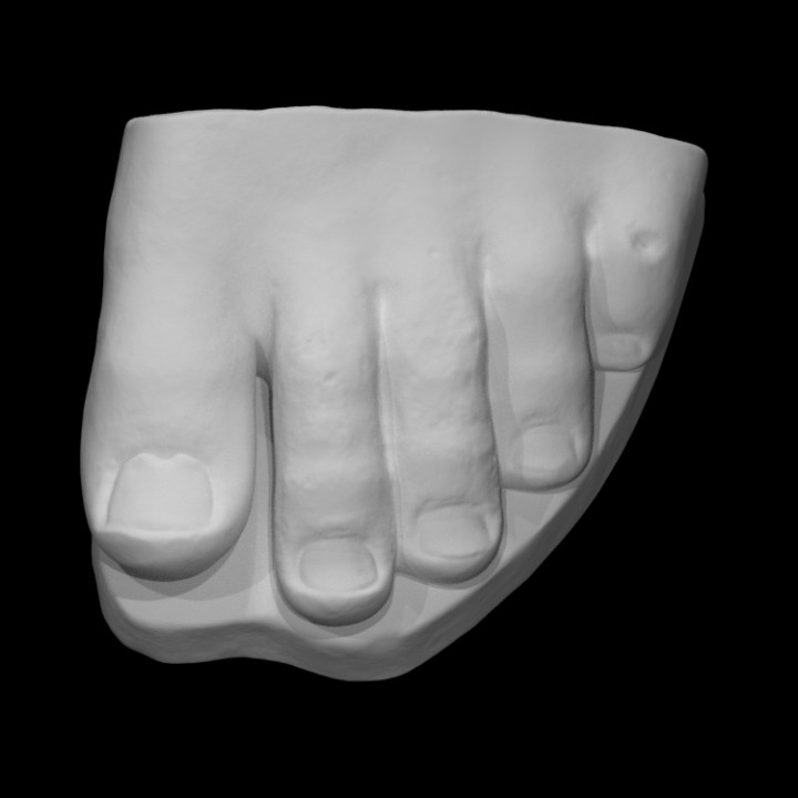 Fragment of a colossal foot image