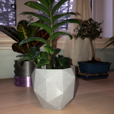 Picture of print of Geometric Pot