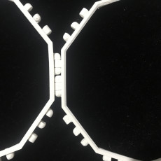 Picture of print of Polypanels Decagon DECAPANEL By Homemade Salsa
