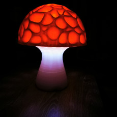 Picture of print of Magic Mushroom (free version)  (LQ)