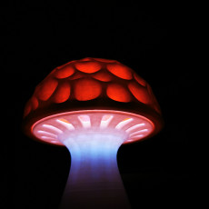 Picture of print of Magic Mushroom (free version)  (LQ)