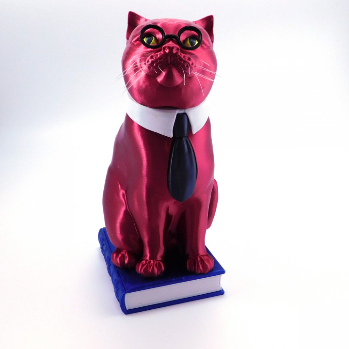 Murphy The Library Cat (with secret book box) -Single Material Package (Complete Single Material Model) image