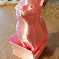 Picture of print of Schrodinky: British Shorthair Cat Sitting In A Box(single extrusion version)