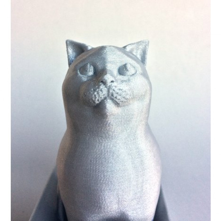 Schrodinky: British Shorthair Cat Sitting In A Box(single extrusion version) image