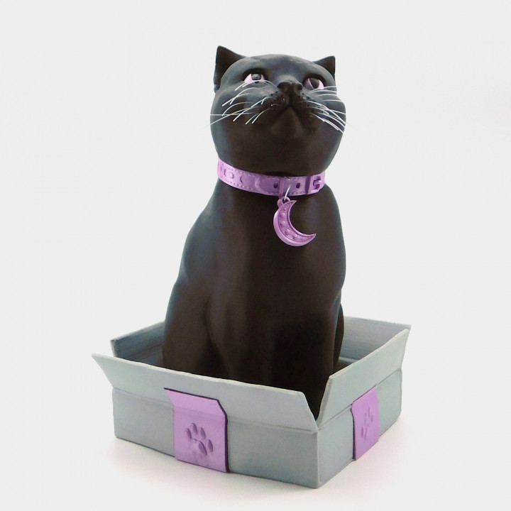 Schrodinky: British Shorthair Cat In A Box - 3D printable multipart model - single material package image