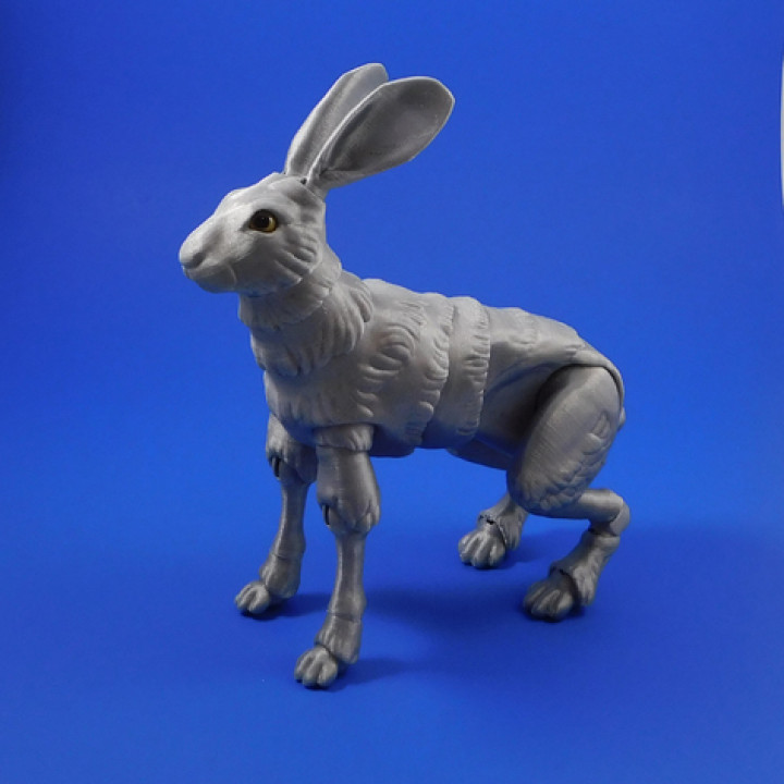 The Fabled Hare (A 3D Printed Ball-jointed Doll) image