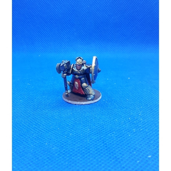 3D Printable Shield Dwarf 2.0 by Michael Hersel