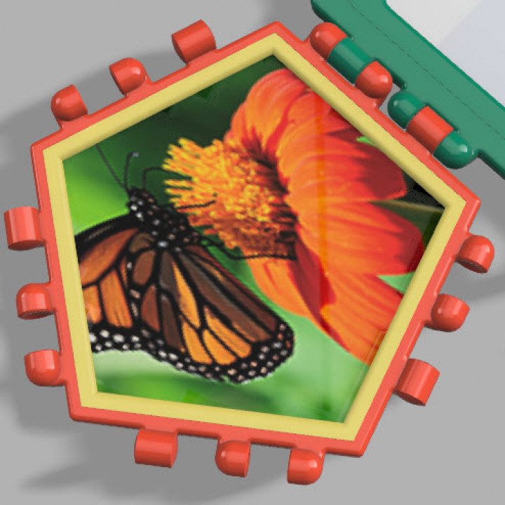 Polypanels - modular photo frame panels image