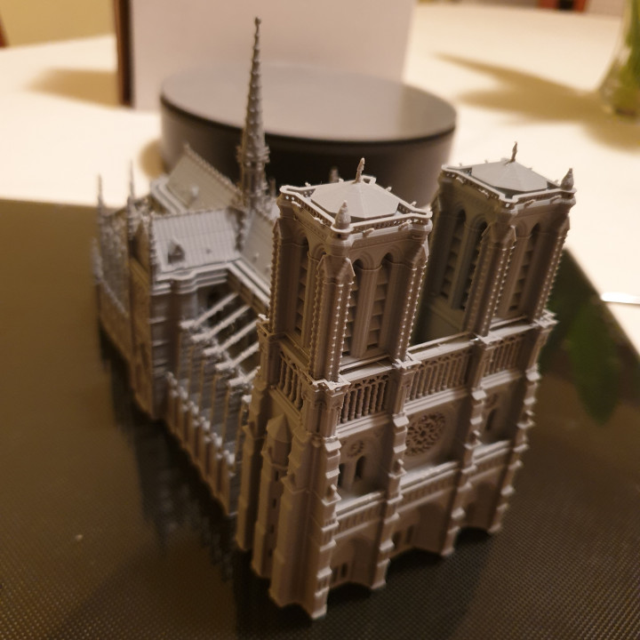 Notre-Dame de Paris Cathedral image