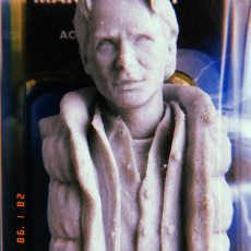 Picture of print of Marty McFly Bust