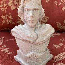 Picture of print of Kylo Ren bust