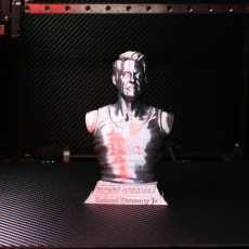 Picture of print of Tony Stark bust