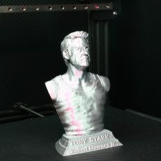 Picture of print of Tony Stark bust