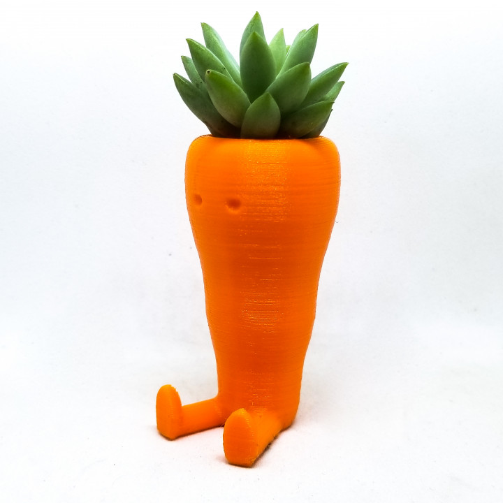 Cute Carrot Shaped Suculent planter image