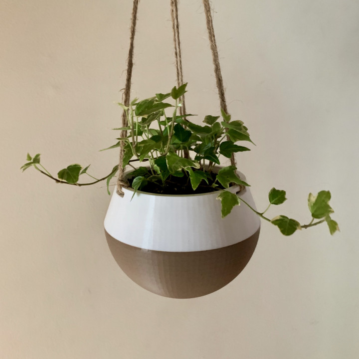 Hanging Planter image