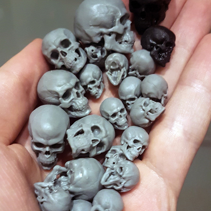 3D Printable Free Detailed Skull by Arminas Didziokas 3d-printable-free-detailed-skull-by-arminas-didziokas