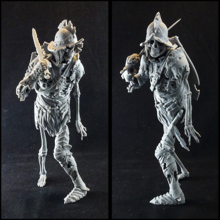 Evil Skeleton Knight image