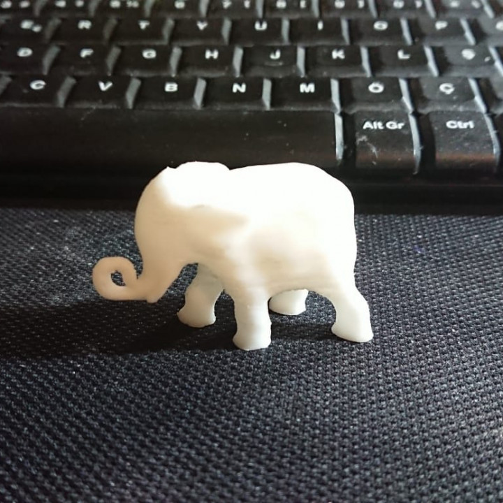 Elephant - Scaned image