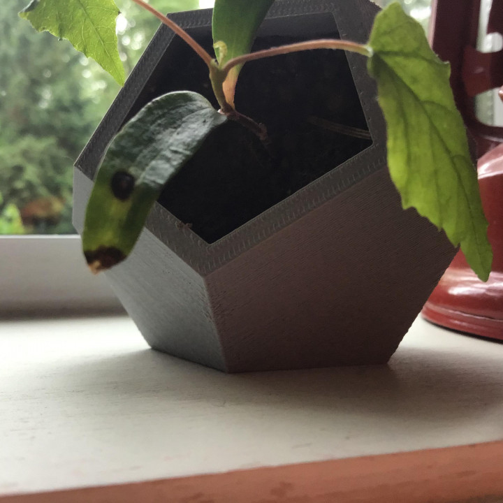 Dodecahedron Planter image