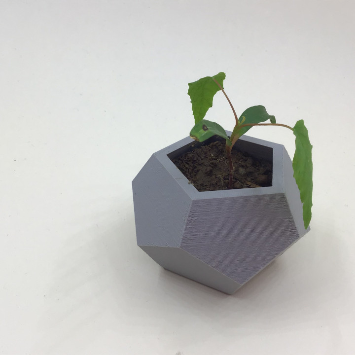 Dodecahedron Planter image