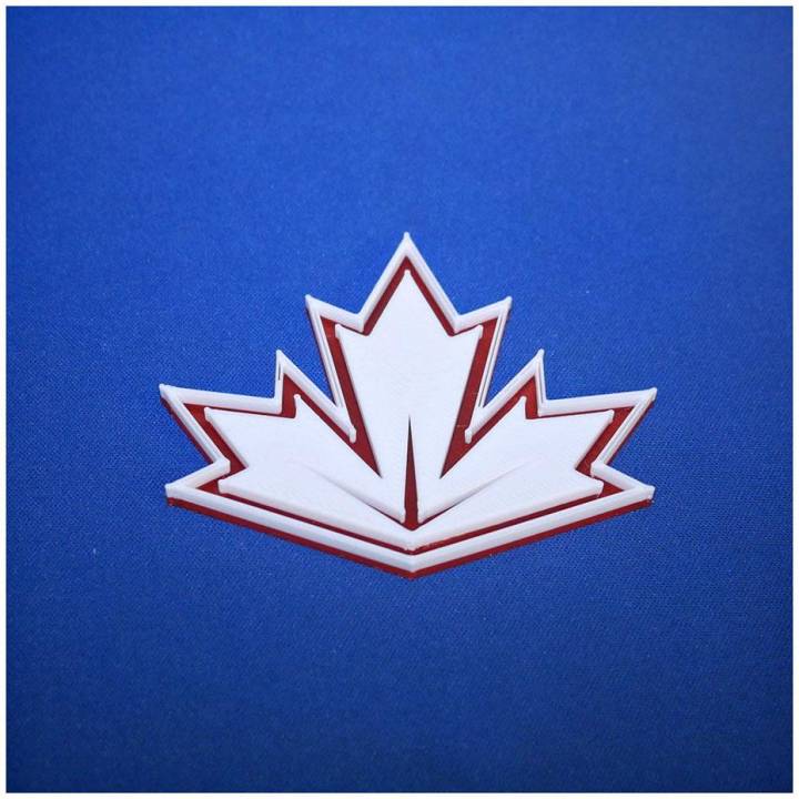 Team Canada 2016 image