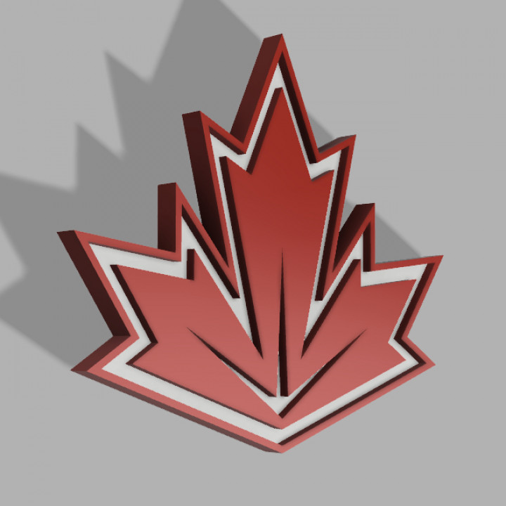 Team Canada 2016 image