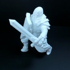 Picture of print of Human paladin with sword and sheld