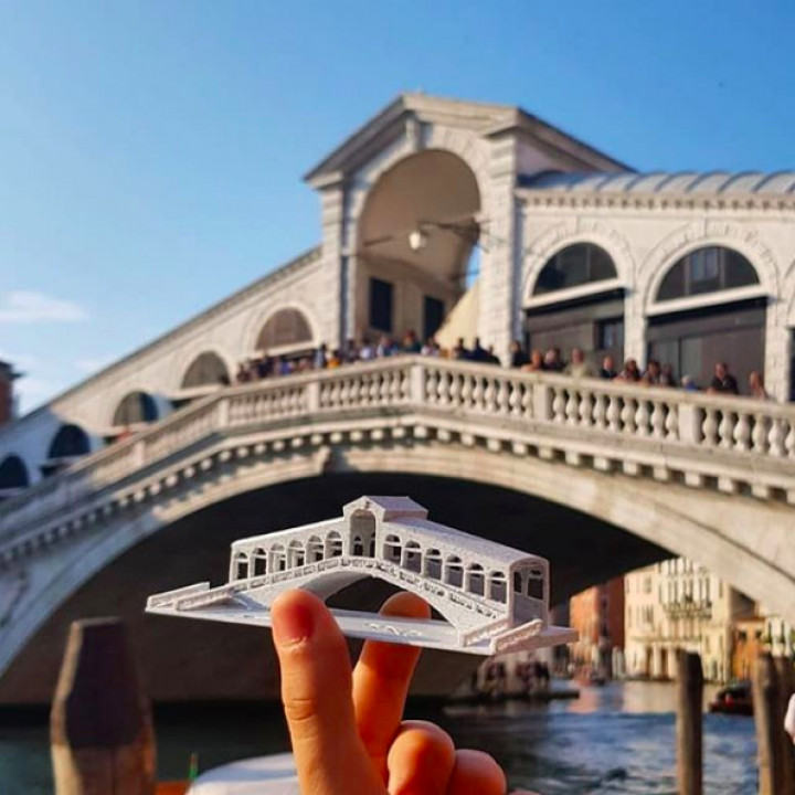 Rialto Bridge - Venice, Italy image