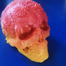 Picture of print of Fancy Skull 1