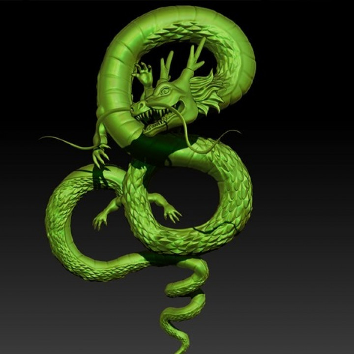Dragon (Chinese inspired) image