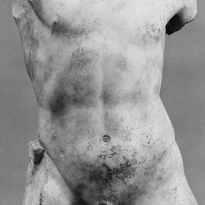 Marble torso of a boy image