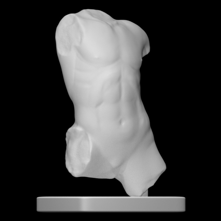 Marble torso of a boy image