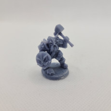 Picture of print of Dwarven Defender - B (Male) Modular