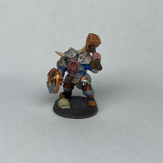 Picture of print of Dwarven Defender - B (Male) Modular