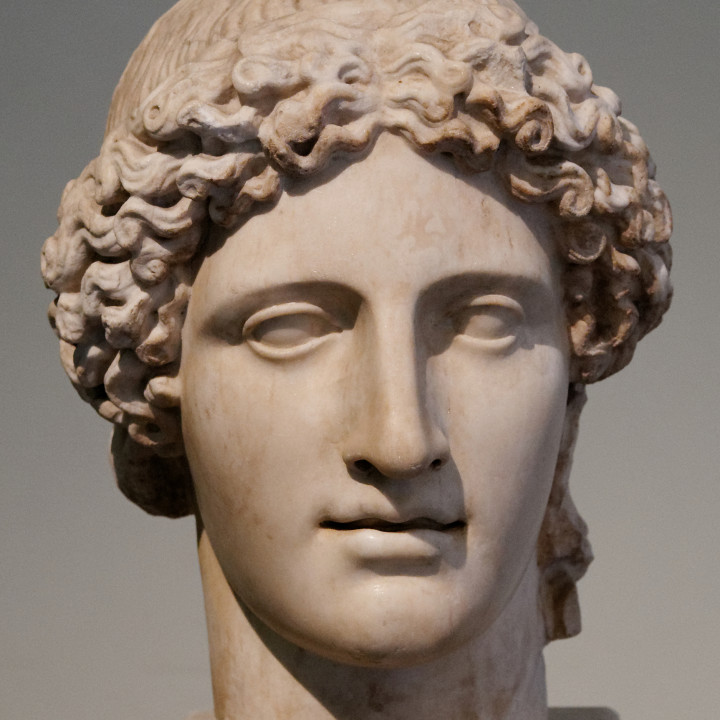 Head of Apollo (Kassel type) image