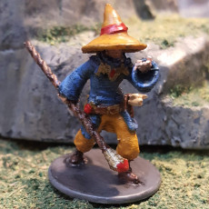Picture of print of Human male mage for fantasy d&d