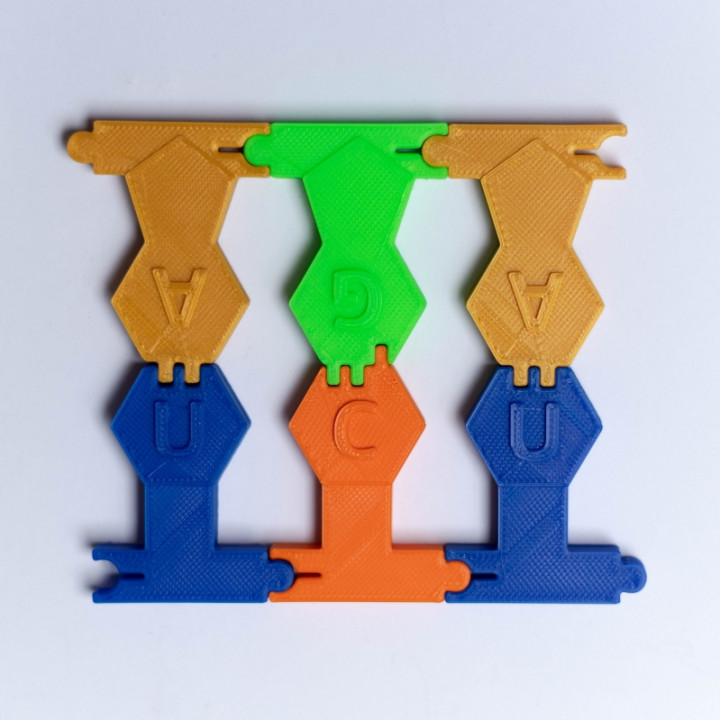 DNA/RNA Building Toy Set with Improved Joints image