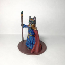 Picture of print of Cat Mage