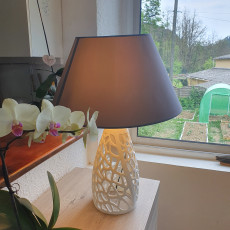 Picture of print of Cellular Planter / Lamp