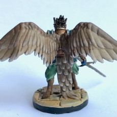 Picture of print of Aarakocra Knight