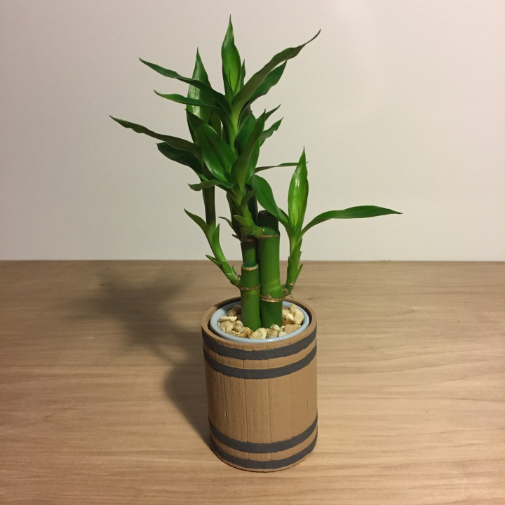 Bamboo Planter image