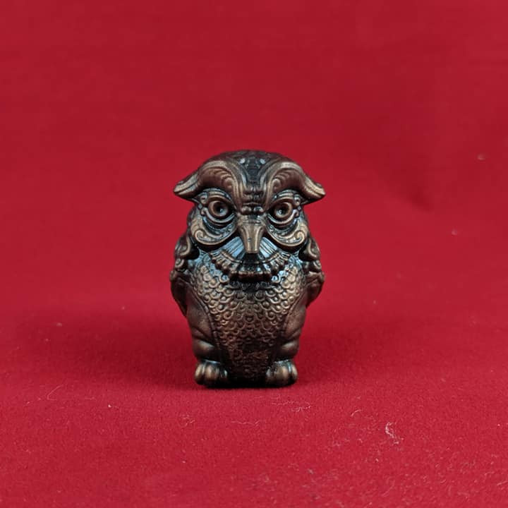 little owl image