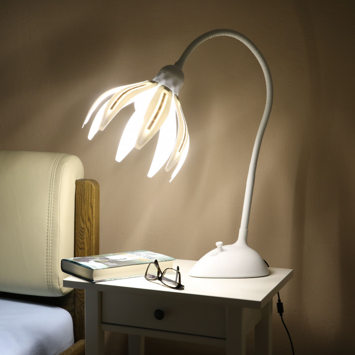 Flola-DesignLamp