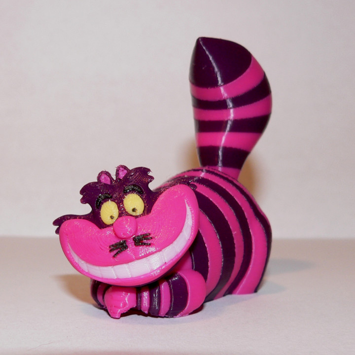 Cheshire Cat - MMU image